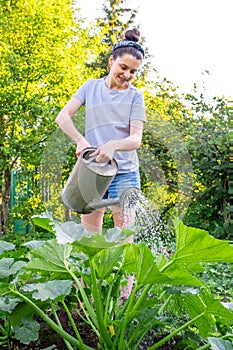 Gardening agriculture concept. Woman gardener farm worker holding watering can and watering irrigating plant. Girl