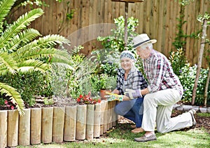 Gardening is the best way to stay young. A happy senior couple busy gardening in their back yard.