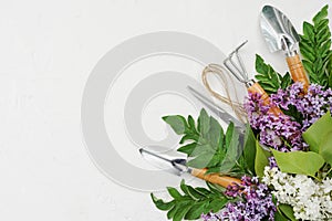 Gardening border with flowers plant and garden tools on white stone background, top view, place for text