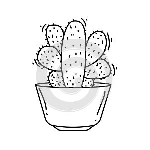 Gardening cactus icon. hand drawn icon set, outline black, doodle icon, vector icon