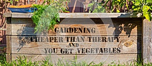 Gardening cheaper than therapy and you get vegetables painted on raised vegetable bed