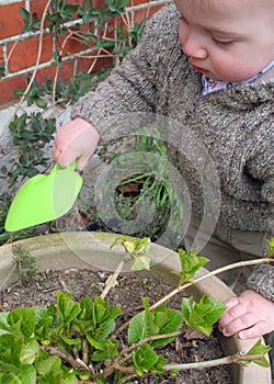 Jardinería 