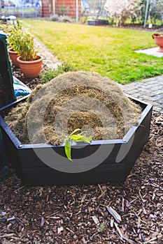 Gardening - composter with lawn cut and hay