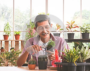 Gardening concept. Active  Asian elderly male gardener sitting at table with houseplants and gardening tools , taking care of the