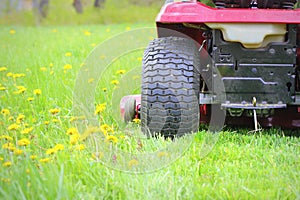 Gardening concept background. Gardener cutting the long grass on a tractor lawn mower