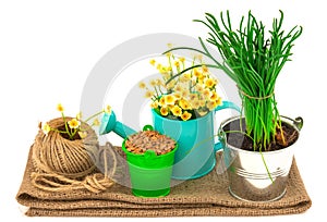 Gardening concept with grass, seeds, flowers, hank