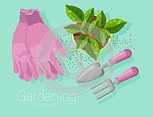 Gardening concept with rose gloves, shovel and rake. Tea leaves growing in a pot