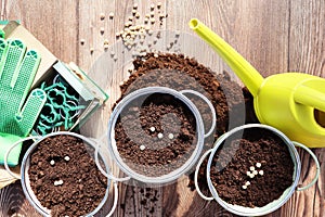 Gardening concept. Set of tools for gardener and flowerpots