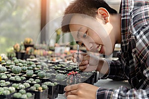 Gardening concept te male gardener taking care of the pricy cactus with tweezers on the desk with other cactuses in the pots