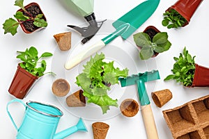 Gardening concept. Working tools and plants flowers in pots on the table