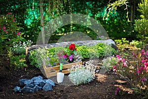 Gardening. Crate Full of Gorgeous Plants and Garden Tools Ready for Planting In Sunny Garden. Spring Garden Works.