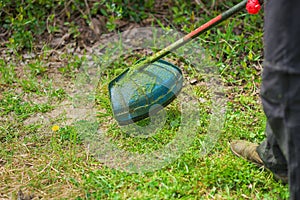 Gardening. Cutting the lawn with cordless grass trimmer, edger