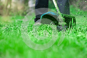 Gardening. Cutting the lawn with cordless grass trimmer, edger