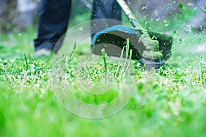 Gardening. Cutting the lawn with cordless grass trimmer, edger