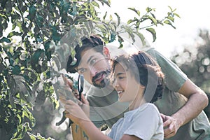 Dad teaching his son to cut branches with secator