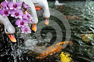 Gardening design with white duck statues catching golden fish