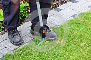 Gardening - edging lawn along the path