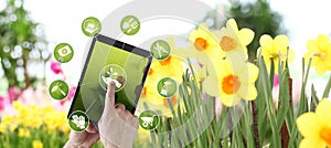 Gardening equipment e-commerce concept, online shopping on digital tablet, hand pointing and touch screen with green tools icons,