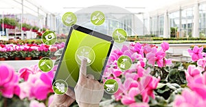 Gardening equipment e-commerce concept, online shopping on digital tablet, hand pointing and touch screen with green tools icons,