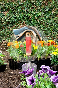 Gardening equipment and flowers