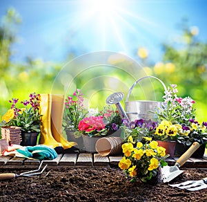 Gardening - Equipment For Gardener