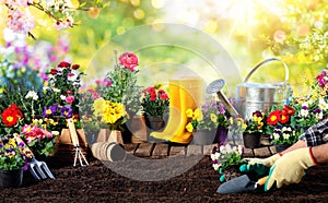 Gardening - Equipment For Gardener And Flower Pots