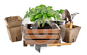 Gardening and farming tools for organic food grawing.