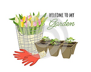 Gardening flower pots concept