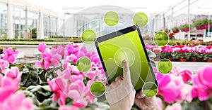 Gardening and flowers e-commerce concept, online shopping on digital tablet, hand pointing and touch screen with green empty icons