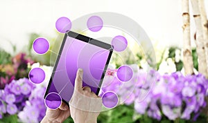 Gardening and flowers e-commerce concept, online shopping on digital tablet, hand pointing and touch screen with purple empty