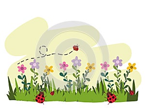 Gardening flowers flying ladybirds grass cartoon