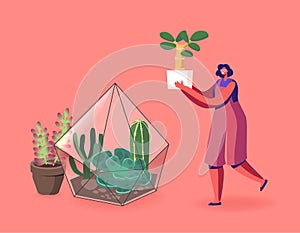 Gardening, Flowers Planting Hobby. Woman Growing Plants in Terrarium Concept. Female Character Grow Cacti and Succulents