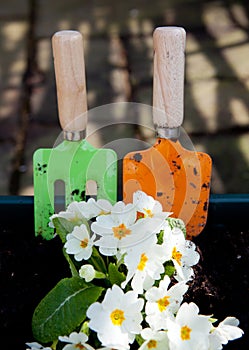 Gardening flowers tools