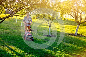 Gardening and garden maintenance, home gardener using lawnmower and cutting grass