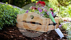 Gardening. Garden Tools and Crate Full of Gorgeous Plants Ready for Planting In Sunny Garden. Spring Garden Works Concept.