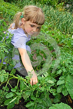 Gardening girl