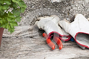 Gardening gloves