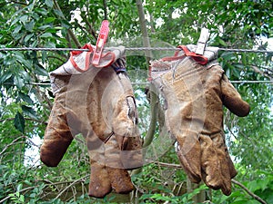 Gardening Gloves