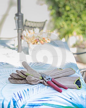 Gardening Gloves and Clippers on a Table