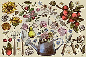 Gardening hand drawn vector illustrations collection. Colored watering can, apples, cherry, rose, pears, shovel, rake