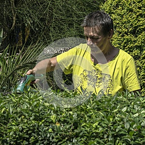 Gardening hedge cutting