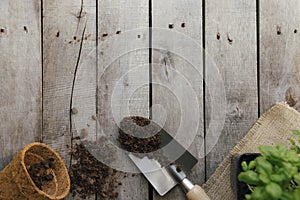 Gardening hobby concept. Eco pot, green plant, shovel, dirt, wooden background