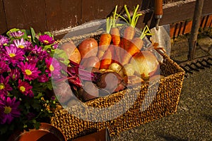 Gardening with home grown organic vegetables and flowers