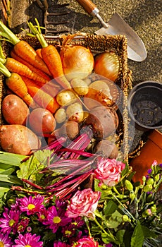 Gardening with home grown organic vegetables and flowers