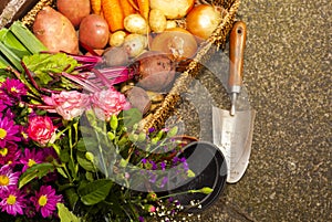 Gardening with home grown organic vegetables and flowers