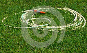 Gardening hose on grass