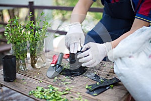 Gardening in the house, Close-up