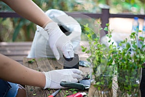 Gardening in the house, Close-up