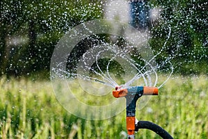 Gardening irrigation system watering green plants. Rotation sprinkler and splash water drops.