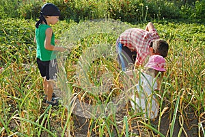 Gardening kids